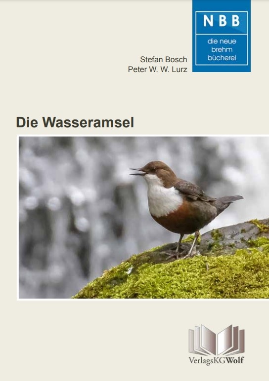 Die Wasseramsel