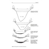 Ökologie der Wasservögel