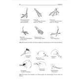 Ökologie der Wasservögel