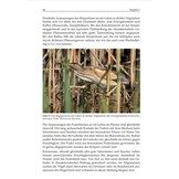 Ökologie der Wasservögel