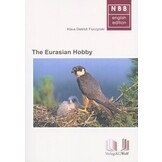 The Eurasian Hobby