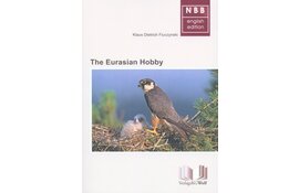 The Eurasian Hobby