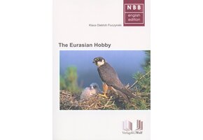 The Eurasian Hobby