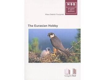 The Eurasian Hobby
