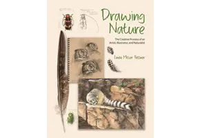 Drawing Nature
