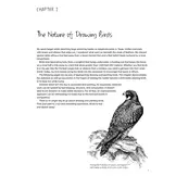Drawing Nature - The Creative Process of an Artist, Illustrator, and Naturalist