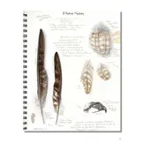 Drawing Nature - The Creative Process of an Artist, Illustrator, and Naturalist