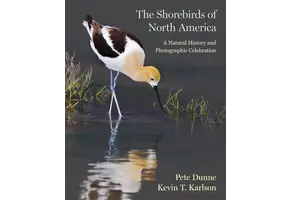 The Shorebirds of North America