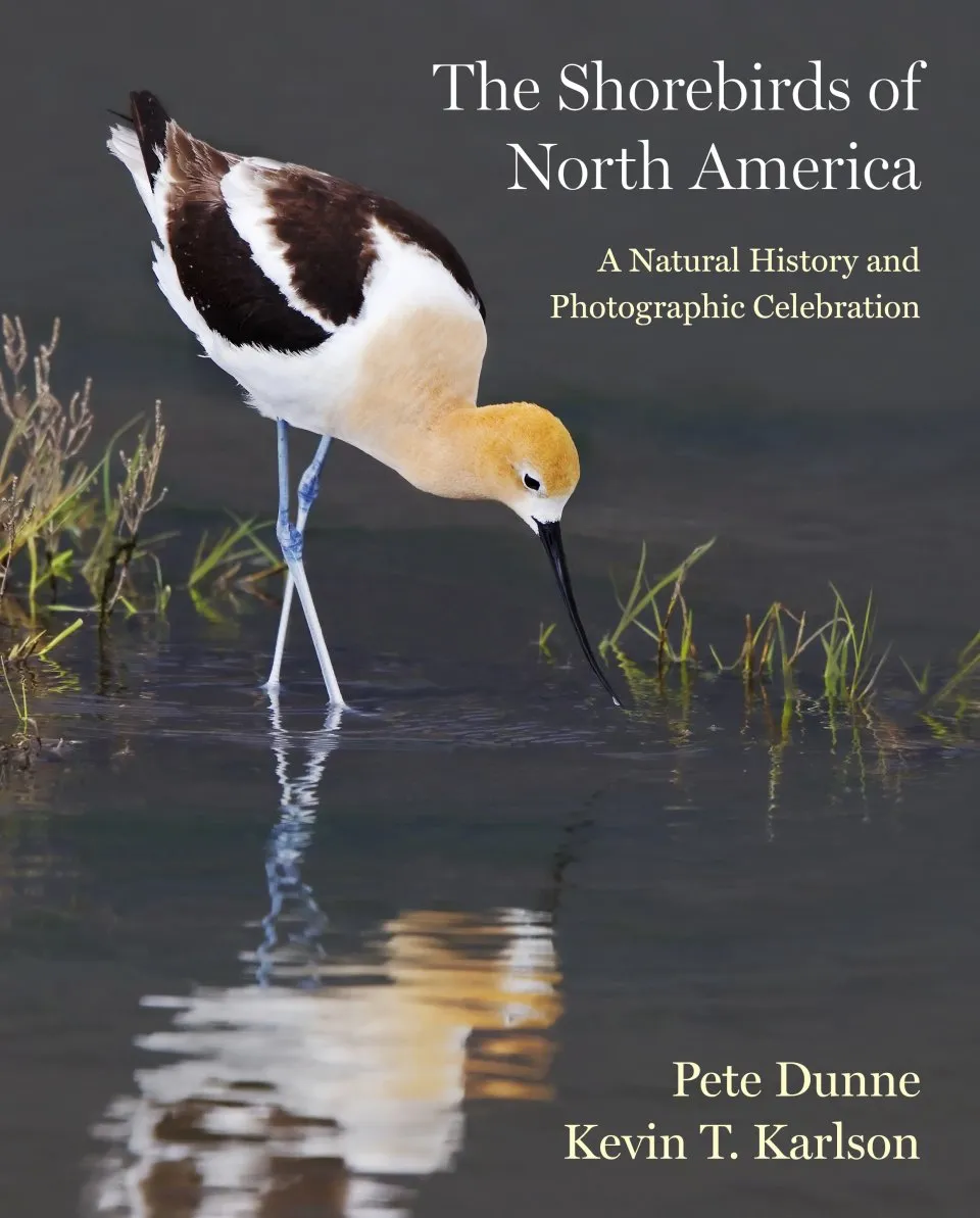 The Shorebirds of North America - A Natural History and Photographic Celebration
