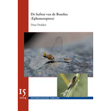 De haften van de Benelux (Ephemeroptera)