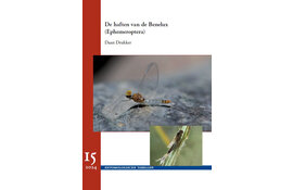 De Haften van de Benelux (Ephemeroptera)
