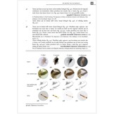 De haften van de Benelux (Ephemeroptera)