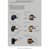 ID Handbook of European Birds (2-Volume Set)