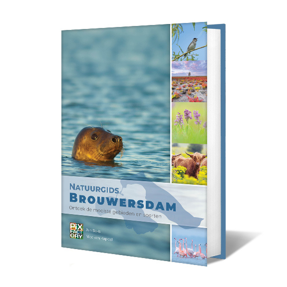 Natuurgids Brouwersdam