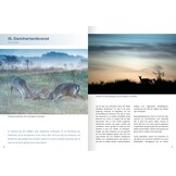 Natuurgids Brouwersdam