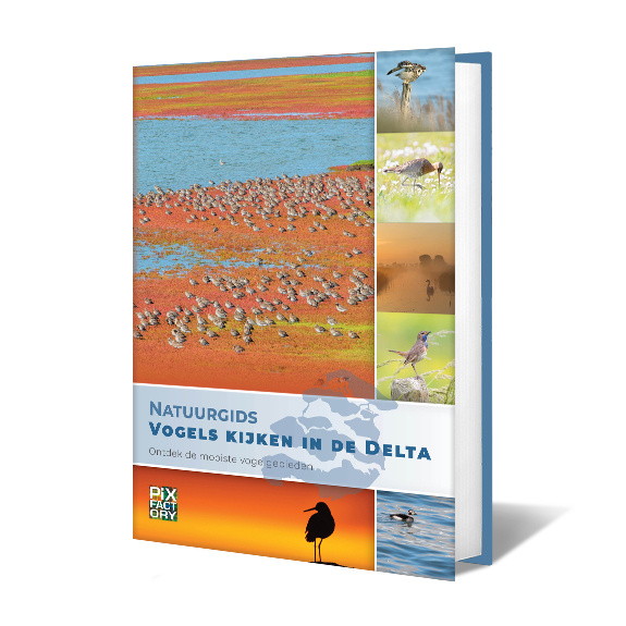 Natuurgids Vogels kijken in de Delta