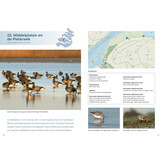 Natuurgids Vogels kijken in de Delta