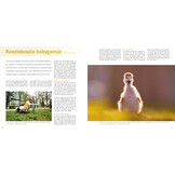 Praktijkboek Natuurfotografie NXT LVL