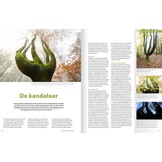 Praktijkboek Natuurfotografie NXT LVL