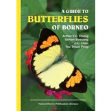 A Guide to Butterflies of Borneo - Veldshop.nl