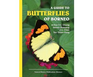 ボルネオの蝶 第2巻　Butterflies of Borneo, vol.2 A Guide to Butterflies of Borneo - Veldshop.nl
