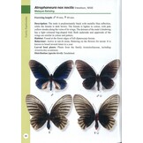 A Guide to Butterflies of Borneo - Veldshop.nl