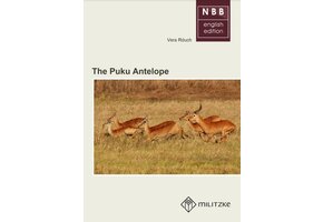 The Puku Antelope