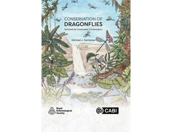 Conservation of Dragonflies