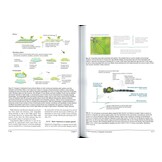 Conservation of Dragonflies - Sentinels for Freshwater Conservation