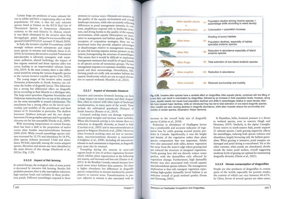 Conservation of Dragonflies - Sentinels for Freshwater Conservation