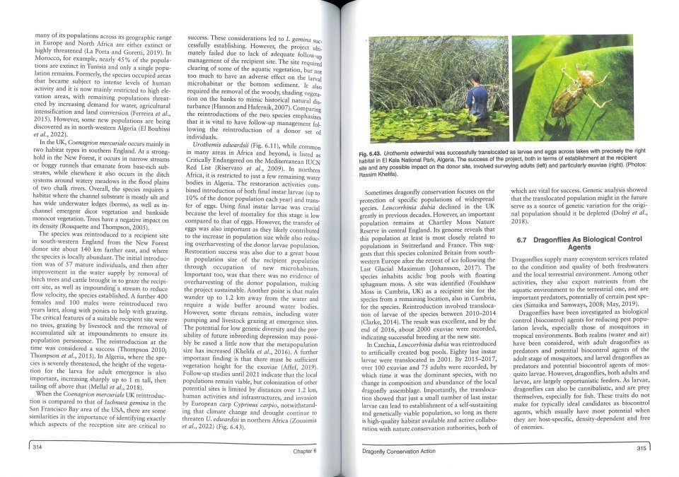 Conservation of Dragonflies - Sentinels for Freshwater Conservation