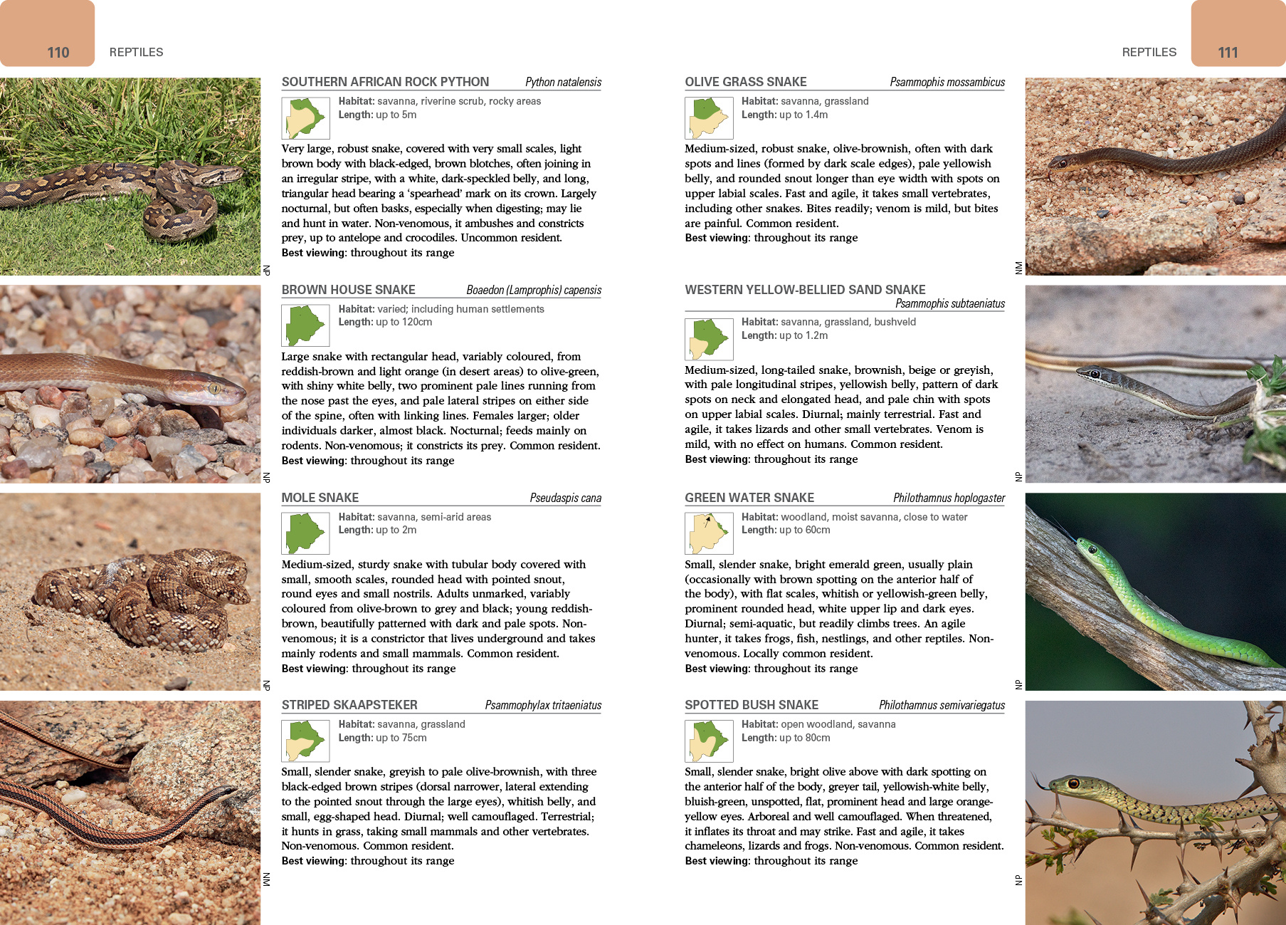 Wildlife of Botswana - A Photographic Guide