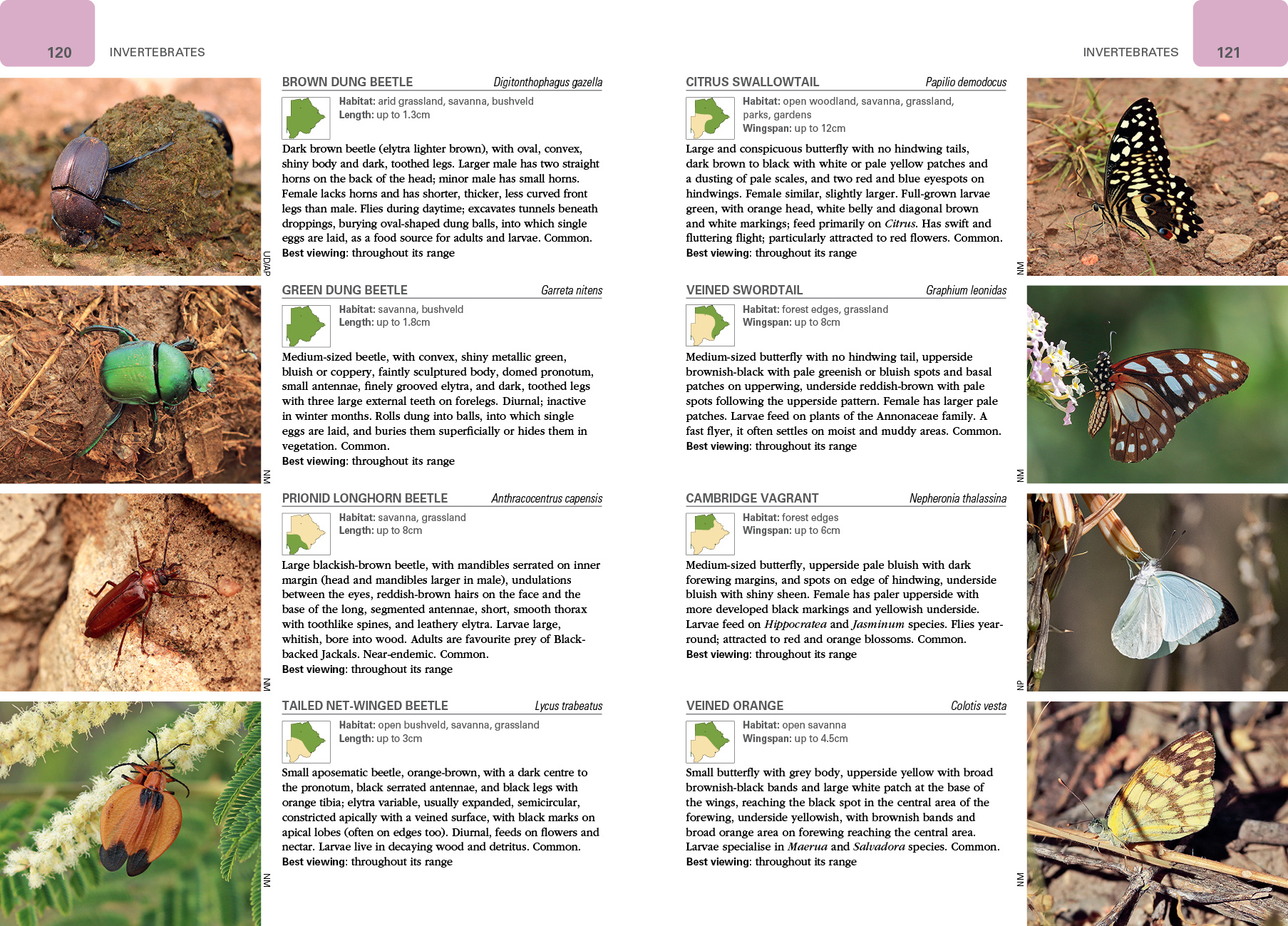 Wildlife of Botswana - A Photographic Guide