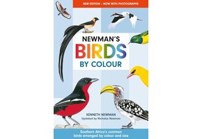 Newman's Birds by Colour