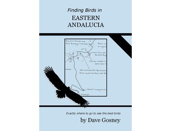 Finding Birds in Eastern Andalucia
