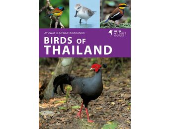 Birds of Thailand