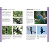 Birds of Thailand - A Photographic Guide
