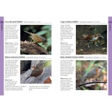Birds of Thailand - A Photographic Guide