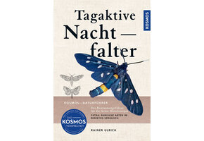 Tagaktive Nachtfalter