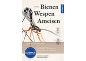 Bienen, Wespen, Ameisen