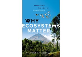 Why Ecosystems Matter