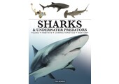 Sharks & Underwater Predators