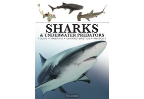Sharks & Underwater Predators