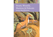 Stoats, Weasels, Martens and Polecats