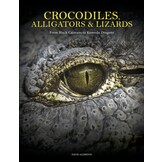 Crocodiles, Alligators & Lizards: From Black Caimans to Komodo Dragons