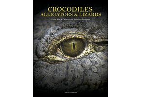Crocodiles, Alligators & Lizards