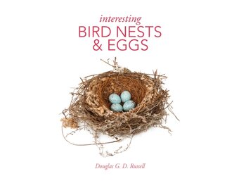 Interesting Bird Nests and Eggs