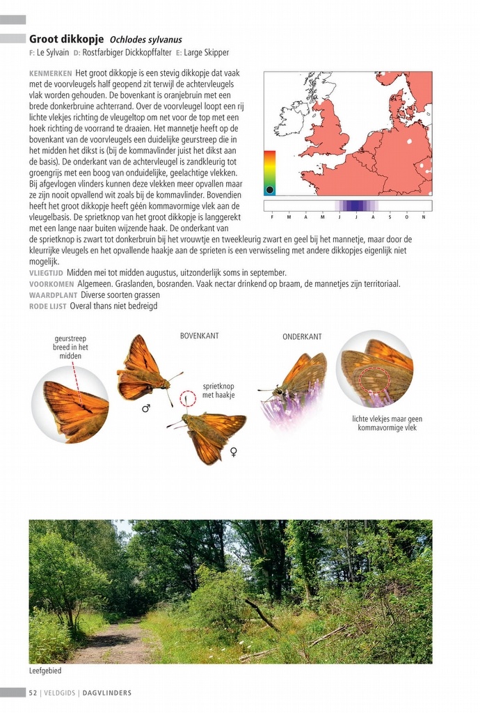 Veldgids Dagvlinders Compleet voor NW-Europa - 150 soorten - veldkenmerken