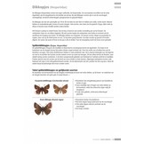 Veldgids Dagvlinders Compleet voor NW-Europa - 150 soorten - veldkenmerken