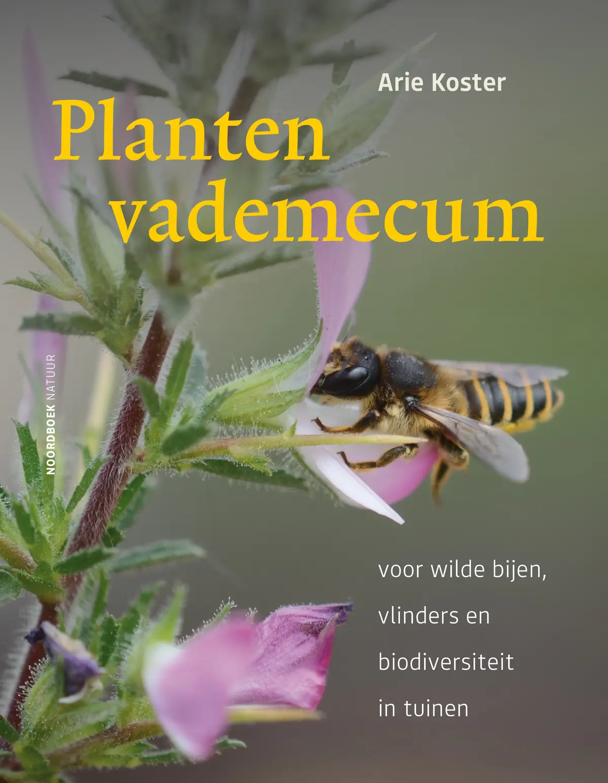 Plantenvademecum - voor wilde bijen, vlinders en biodiversiteit in tuinen